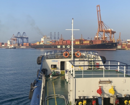 photo5913479301947307411-773x1030