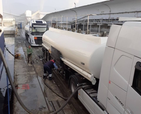 photo_5904656666027214269_y