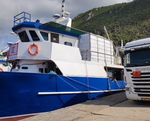 photo_5861963948075632081_y